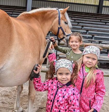 Drei Kinder bürsten ein Pony auf einem Hof. Zwei Mädchen tragen bunte Jacken und Stirnbänder, das dritte Kind trägt einen Zopf. Alle lächeln freundlich.