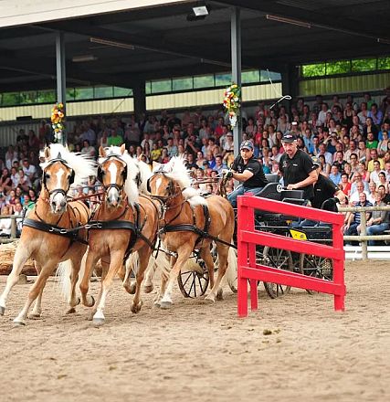 Vier Pferde ziehen gemeinsam eine Kutsche in einer Arena, umgeben von vielen Zuschauern. Die Szenerie wirkt lebhaft und die Pferde sind in Aktion.