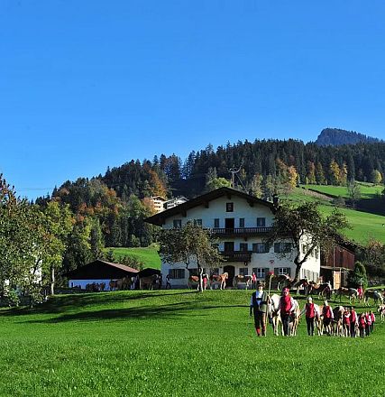 Eine Gruppe von Menschen wandert über eine grüne Wiese, im Hintergrund ein Bauernhof und bewaldete Hügel unter blauem Himmel mit vereinzelten Wolken.
