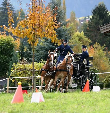Due cavalli marroni trainano una carrozza antica guidata da due uomini in uniformi blu, circondati da un paesaggio autunnale con alberi colorati.