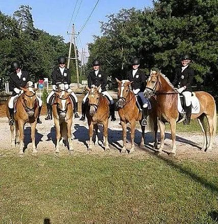 Sechs Reiter in schwarzer Reitkleidung und weißen Hosen sitzen auf braunen Pferden auf einem Feldweg, umgeben von Bäumen und einem klaren Himmel.