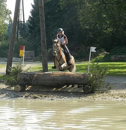 Reiter auf einem braunen Pferd springt über ein Hindernis aus Holzstämmen an einem Gewässer. Im Hintergrund sind Bäume und ein sonniger Himmel zu sehen.