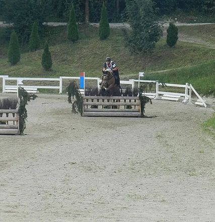 Ein Reiter springt mit seinem Pferd über ein Hindernis auf einem Sandplatz, umgeben von Bäumen und grüner Vegetation. Der Parcours wirkt professionell aufgebaut.