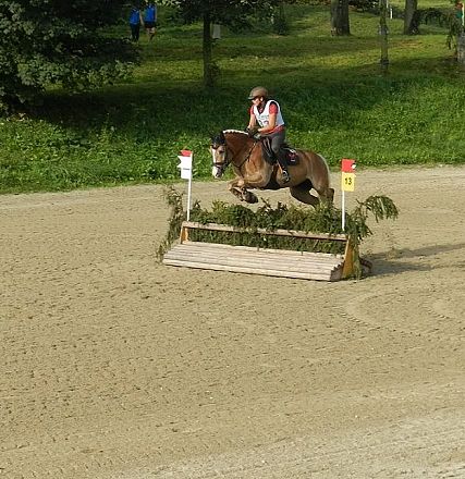 Ein Reiter springt mit seinem Pferd über ein Hindernis bei einem Reitturnier auf einer sandigen Bahn. Im Hintergrund sind Bäume und grünes Gras sichtbar.