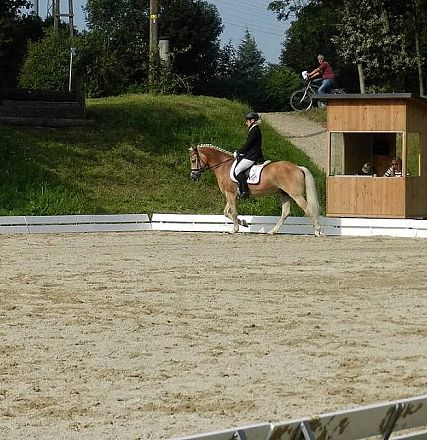 Eine Person reitet ein Pferd in einer umzäunten Reitbahn. Im Hintergrund sind Bäume, eine kleine Hütte und eine Person auf einem Fahrrad zu sehen.
