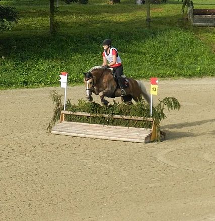 Reiter springt mit Pferd über ein Hindernis auf einem sandigen Turnierplatz, umgeben von grüner Vegetation. Beide tragen Schutzkleidung und wirken konzentriert.