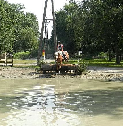 Eine Person reitet mit einem Pferd über ein Hindernis in einer ländlichen Umgebung. Im Hintergrund sind Bäume und ein kleiner See zu sehen.