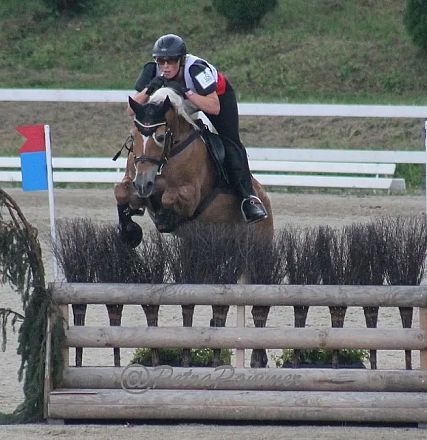 Ein Reiter in Schutzkleidung springt mit einem Pferd über ein Hindernis aus Holzstämmen und Laub in einem Reitstadion. Hintergrund mit grünem Gras.