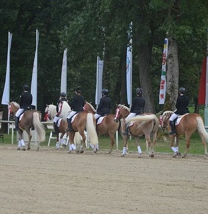 Mehrere Reiter auf Pferden in Gamaschen treten in einer Reihe bei einem Außenreitturnier auf. Bäume und Flaggen bilden den Hintergrund.