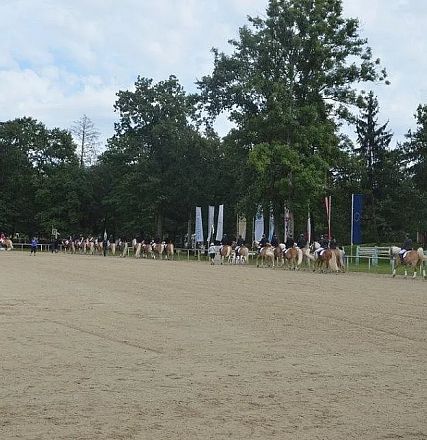 Ein großer, sandiger Reitplatz mit vielen Reitern auf Pferden, die in einer langen Reihe unterwegs sind. Im Hintergrund sind Bäume und Flaggen zu sehen.