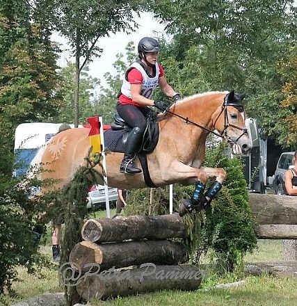 Ein Reiter springt mit seinem Pferd über ein Hindernis aus Baumstämmen bei einem Outdoor-Geländeritt. Zuschauer sitzen auf Baumstämmen im Hintergrund.