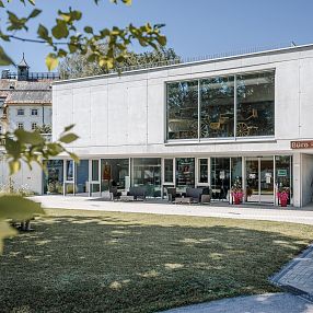 Haflinger Gestüt Fohlenhof Ebbs