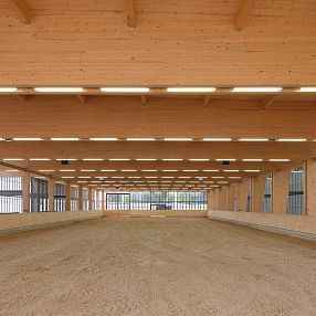 Haflinger Gestüt Fohlenhof Ebbs