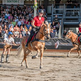 Haflinger Show Fohlenhof Ebbs Haflinger Tirol