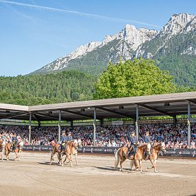 Haflinger Show Fohlenhof Ebbs Haflinger Tirol