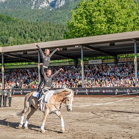 Haflinger Show Fohlenhof Ebbs Haflinger Tirol