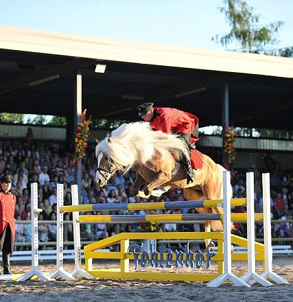 Ein Reiter in roter Jacke springt mit einem braunen Pferd über ein Hindernis bei einem Turnier. Zuschauer sitzen im Hintergrund auf Tribünen.