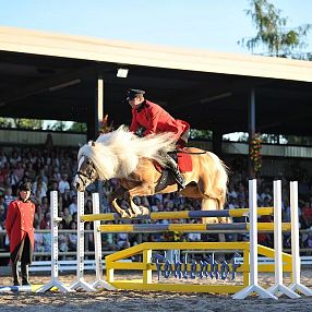 Un cavallo con un cavaliere in uniforme rossa salta sopra un ostacolo in un'arena affollata. La folla osserva attentamente sotto un cielo sereno.