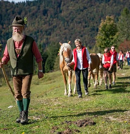 Eine Gruppe von Menschen in traditioneller Kleidung führt Kühe über eine Wiese in einer bergigen Landschaft. Im Hintergrund sind Bäume und Berge zu sehen.