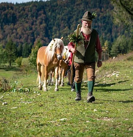 Ein älterer Mann in traditioneller Tracht führt zwei Pferde über eine grüne Wiese in einer ländlichen, bergigen Landschaft bei klarem Wetter.
