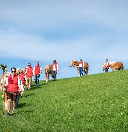 Gruppe von Menschen in roten Westen führt Kühe über eine grüne Wiese unter blauem Himmel; es sieht nach einem traditionellen Almabtrieb aus.