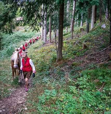 Eine Gruppe von Menschen wandert in einer Reihe durch einen bewaldeten Hang. Jeder trägt rote Kleidung und führt ein Pferd an der Leine. Es ist ein schöner, grüner Wald.