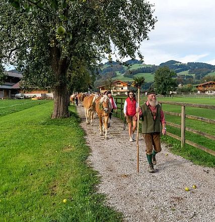 Bauern führen Kühe entlang eines ländlichen Weges auf einer grünen Weide. Im Hintergrund sind Bäume, Hügel und landwirtschaftliche Gebäude zu sehen.