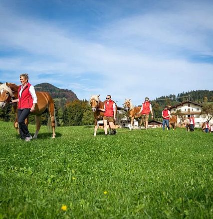 Gruppe von Menschen in roter Kleidung führt mehrere Pferde über eine grüne Wiese. Im Hintergrund sind ein Bauernhaus und bewaldete Hügel zu sehen.