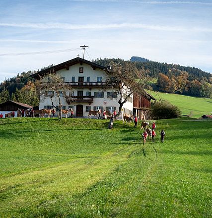 Ein traditionelles Haus auf dem Land, umgeben von grünen Wiesen und Hügeln. Eine Gruppe von Menschen geht auf das Haus zu, der Himmel ist blau und klar.