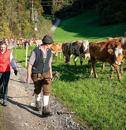 Ein Mann in traditioneller bayerischer Kleidung und eine Frau in roter Jacke führen eine Herde Kühe auf einem ländlichen Weg durch eine grüne Landschaft.