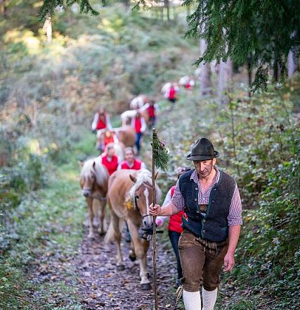 Eine Gruppe traditionell gekleideter Menschen führt Pferde durch einen Waldweg. Der Fokus liegt auf einem Mann mit Hut und Tracht an der Spitze der Gruppe.
