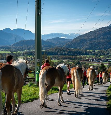 Mehrere Reiter auf Haflingerpferden reiten eine Straße entlang in einer malerischen Berglandschaft unter blauem Himmel, flankiert von grünen Feldern und Hügeln.