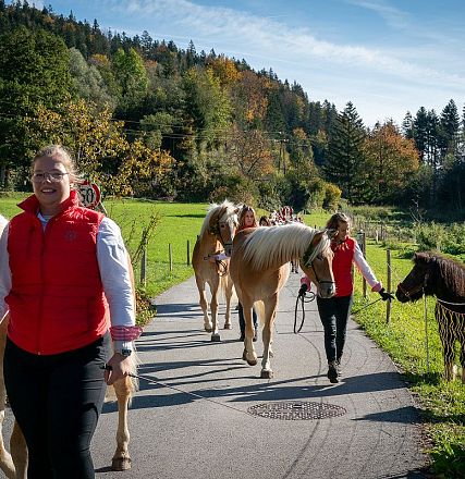 Mehrere Personen führen Pferde auf einem Feldweg bei sonnigem Wetter. Im Hintergrund sind Bäume und blauer Himmel zu sehen. Die Atmosphäre ist friedlich.