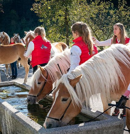 Eine Gruppe von Menschen in roten Westen steht neben mehreren blonden Pferden, die an einem steinernen Trog trinken, umgeben von Bäumen im Sonnenlicht.