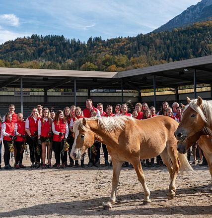 Eine Gruppe von Menschen in roten Jacken steht hinter drei Haflingerpferden in einem Außenbereich, umgeben von Bergen und herbstlicher Landschaft.
