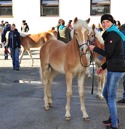 Una giovane donna sorride accanto a un puledro in un mercato di cavalli all'aperto, circondata da persone e altri cavalli sullo sfondo.