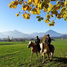 herbst-ausritt-fohlenhofebbs-fotograf-christian-kapfinger-24-3-5