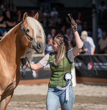 Una donna con un cavallo biondo in un'arena, circondata da spettatori. Indossa un gilet verde e jeans, mentre solleva un bastone. Il sole splende.