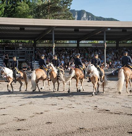 Un gruppo di cavalli con cavalieri in uniforme eseguono una coreografia in un'arena all'aperto, circondati da spettatori seduti sugli spalti.