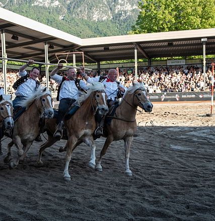 Gruppe von Reitern auf braunen Pferden in einer Arena bei Vorführung. Zuschauer sitzen auf Tribünen, umgeben von Bergen bei sonnigem Wetter.