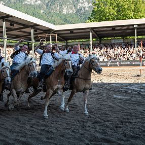 Equestrian Performance
