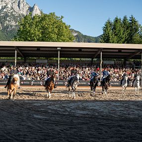 Equestrian Event in Scenic Outdoor Arena