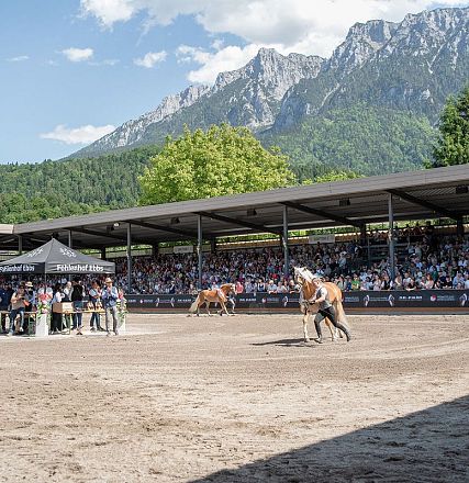 An outdoor arena with a large crowd watching a horse show. Two horses are trotting on the sandy ground. Mountainous landscape in the background under a blue sky.