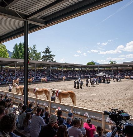 Eine Pferdeschau in einer überdachten Arena mit vielen Zuschauern. Mehrere Pferde stehen in der Mitte, während Richter sie bewerten. Sonniges Wetter.