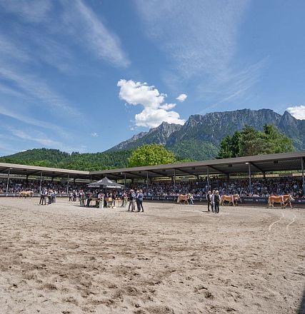 Eine große, überdachte Arena in einer malerischen Berglandschaft. Menschen und Pferde versammeln sich auf dem Sandboden unter einem strahlend blauen Himmel.