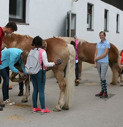 Gruppo di persone, inclusi bambini, con cavalli davanti a un edificio. Bambini accarezzano e spazzolano i cavalli, mentre un adulto osserva.