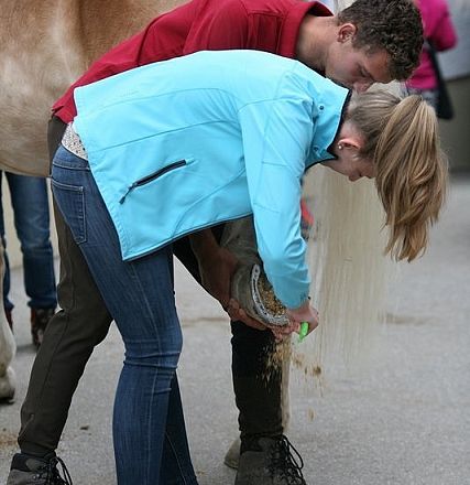Giovane in giacca azzurra cura un cavallo, pulendo uno zoccolo. Attenzione ai dettagli e al benessere dell'animale in un ambiente esterno.