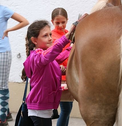 Bambina con una giacca rosa accarezza un cavallo marrone, mentre un'altra persona in piedi osserva la scena in uno sfondo neutro.