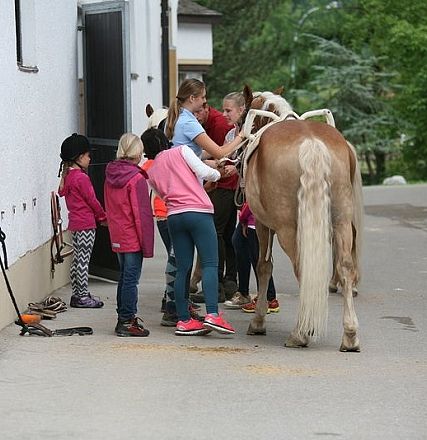 Gruppo di bambini si raduna attorno a un cavallo chiaro in una strada di campagna, mentre un adulto li guida nella cura dell'animale.