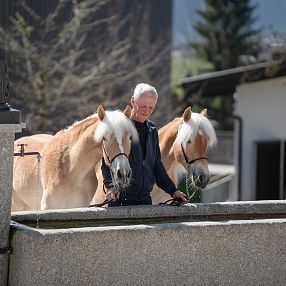 Ein Mann und eine Frau stehen bei einem Brunnen mit zwei Haflinger-Jährlingen. Die Pferde trinken Wasser, während die Personen freundlich lächelnd zuschauen.